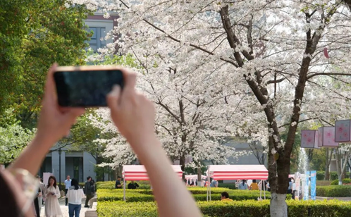 1773973425216640.png 图层1.png